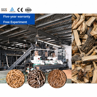 Ligne de production de granulés de bois LANE, machine à granulés pour sciure de bois, coques de riz, paille, déchets de palmier, fournisseur d'usine industrielle