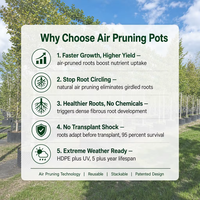 Pot de taille aérienne en HDPE respirant de 1 gallon pour le contrôle des racines, idéal pour la croissance rapide des arbres, des fleurs et des plantes de jardin