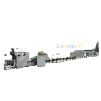 Machine de cuisson et de tri de chips de pommes de terre, ligne de production de chips de pommes de terre