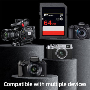 Carte SD originale classe 10, haute vitesse, grande capacité, pour appareil photo, vidéo 4K, mémoire flash, carte SD 128 Go 256 Go - Product Image 6