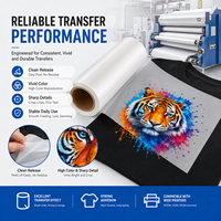 Film de transfert DTF 30cm 60cm Qualité supérieure Direct usine pour impression textile sur T-shirt Conception personnalisée en rouleau ou en feuille