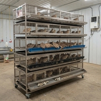 Cage à oiseaux robuste en acier inoxydable 201, cage d'élevage de cailles à plusieurs niveaux avec plateaux faciles à nettoyer et roulettes verrouillables