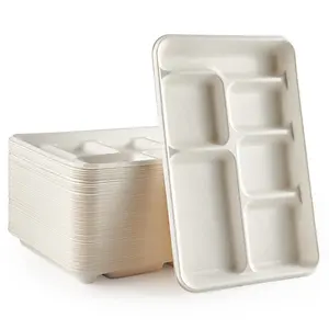 Assiettes compostables à 6 compartiments compartiment assiette en papier plateaux à déjeuner scolaires jetables assiettes à bagasse écologiques pour buffet