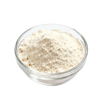 Poudre de protéines de fèves naturelles, protéines végétales, protéines végétaliennes, sans OGM, sans gluten, ingrédient pour la pâtisserie riche en protéines