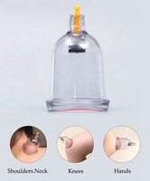 Kit de ventouses de médecine chinoise de luxe LW Brand 20 pièces en ABS+PC, avec aiguille magnétique, pour massage corporel antirhumatismal et ventouses à vide, garantie 1 an