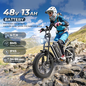 Venta Directa de Fábrica, Pedido al por Mayor, Bicicleta Eléctrica VARUN con Neumáticos Gruesos de 20 Pulgadas, Alcance de 65 km, 500 W, 40 km/h, Suspensión Completa, para Montaña, Juvenil, UE, en Existencia - Product Image 4