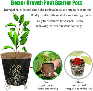 <strong>Biodegradable</strong> Seed Starter Kits Tray Garden Compostable Organic Flower <strong>Pot</strong> Paper Seedling Nursery Peat <strong>Pots</strong> With <strong>Plant</strong> Labels - Product Image 4