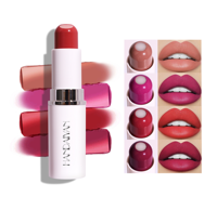 HANDAIYAN Rouge à lèvres velours 2-en-1, 8 couleurs, hydratant, imperméable, formule végétalienne, 5,5 g, bâton pour les lèvres, vente en gros
