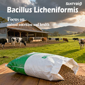 Additivo per Mangimi Suini Bacillus Subtilis Probiotici ad Alta Concentrazione di 10/200/300 Miliardi di CFU/g Additivo per Mangimi per Bestiame - Product Image 1
