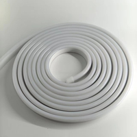 Ruban LED néon flexible RGBIC haute densité 288 LED/m DC24V 8*16mm, étanche en silicone, avec effet de poursuite