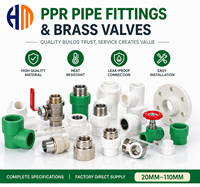 Raccords de tuyauterie PPR et vannes en laiton de 20-110 mm, directement de l'usine, tous types de raccords de plomberie PPR pour l'alimentation en eau chaude/froide