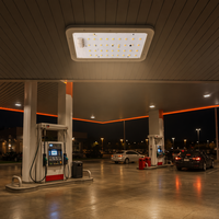 Módulo de Fuente de Luz LED PCBA al por Mayor, Tamaño/Potencia/Diseño Personalizado, Placa PCB de Aluminio con LED SMD para Lámpara de Calle y Proyector LED