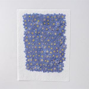 Vente en gros de fleurs séchées faites à la main pour nail art, fleurs non pressées pour marque-page et étui de téléphone - Product Image 6