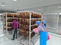 Industriële warmtepomp visdroogmachine voor vis, garnalen, inktvis, zeewier, energiebesparende commerciële dehydrator