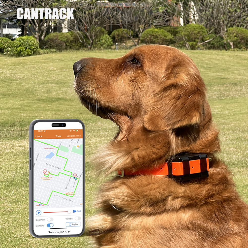 Ошейник encontrar rastreador gps de larga espera para mascotas 4g y 2g gps para perros de caza