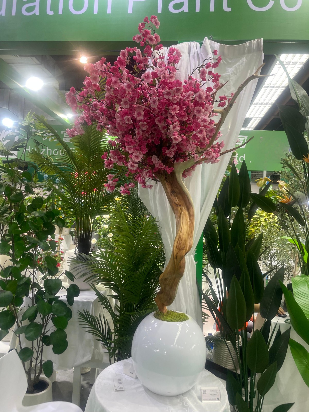 180cm true tronc cerisier en fleurs 2 (Pas de pot)