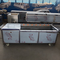 Automatische Groente-en Borstel Wasmachine Palm Datum Apple Schoonmaken Gember Dunschiller Aardappel Wasmachine Prijs