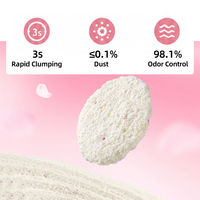 Litière pour chat à base de manioc à agglomération rapide, faible dispersion de poussière, contrôle des odeurs, biodégradable, écologique, 99 % à base de plantes, articles pour animaux de compagnie à base de tapioca