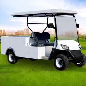 Véhicules électriques communautaires : Voiture, Pick-up électrique, Minibus, Voiturette de golf, Pick-up double cabine, Voiture électrique - En vente - Product Image 5