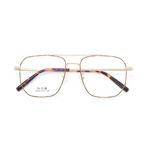 Montures de lunettes Danyang, rectangulaires, monture intégrale, verres en résine, confortables, unisexes, branches en titane à mémoire de forme 35050 - Product Image 5