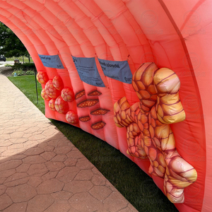 Tunnel de Colon Gonflable Géant pour Expositions Médicales Extérieures, Publicité, Grand Modèle de Colon Humain Gonflable pour Expositions Médicales - Product Image 6