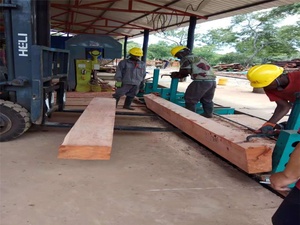 Wood <b>Cutting</b> Used MJ329 Vertical Electric Sawing Machine with 3 Meter Manual <b>Log</b> Carriage - Product Image 5