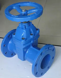 Double flange cast iron gate valve