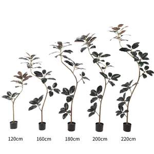 Petites feuilles de <span class=keywords><strong>caoutchouc</strong></span> artificielles en pot de style moderne Banyan <span class=keywords><strong>Ficus</strong></span> Bonsai Plantes pour la décoration - Product Image 5