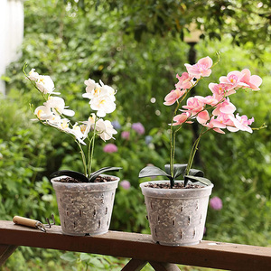 Pot à orchidées en gros avec trous et soucoupes, pots à orchidées en plastique transparent pour plantes d'intérieur et d'extérieur, pots de jardinage - Product Image 5