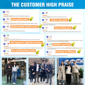 Machine d'emballage avec remplissage d'azote pour chips de pommes de terre, ruban PVC, coussin en coton, croissant - Product Image 5