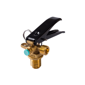 Cina Valvola <span class=keywords><strong>di</strong></span> FUHUA Fabbrica SiAN Marca Approvazione Del CE Valvola del Gas In Ottone Con <span class=keywords><strong>Dispositivo</strong></span> <span class=keywords><strong>di</strong></span> <span class=keywords><strong>Sicurezza</strong></span> Per Il Biossido <span class=keywords><strong>di</strong></span> Carbonio Fuoco <span class=keywords><strong>Estintore</strong></span> - Product Image 1
