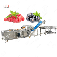 Verse Stekelige Peer Was-En Sorteersysteem Tomaat/Aardbei Reinigingsmachine Luchtbel Aardbei Wasmachine