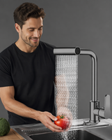 Robinet de cuisine extractible en acier inoxydable