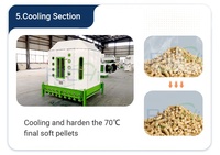 Línea de Producción de Pellets de Madera Personalizada de 1-5 T/H, Fácil de Usar, para Indonesia y Canadá, Molino de Pellets de Madera en Venta