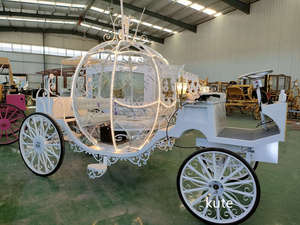 Prix d'usine en gros : Carrosse de mariage électrique sans chevaux, en métal et osier, modèle Princesse Citrouille Cendrillon, pour la vente de souvenirs - Product Image 4