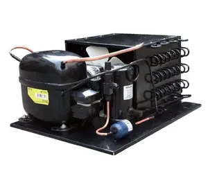 R404 110-120V 60HZ LBP Unidade de condensação do Compressor de Refrigeração para Máquina de gelo comercial, Freezer e Secador