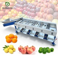 Jujube-granaatappel-knoflook-fruitroller sorteermachine, blauwe bes-kokosnoot-industriële perzik sorteermachine