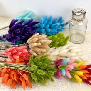 Décoration de mariage, fleurs séchées naturelles, herbe de la pampa, plusieurs couleurs, queues de lapin séchées - Product Image 6