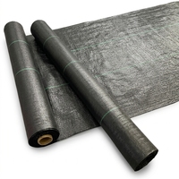 Toile tissée en PP pour couverture agricole, tapis anti-mauvaises herbes, bâche de sol anti-herbe, couleur noire pour ferme et jardin