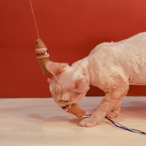 AFP Dream Catcher Series relleno con cinta de plumas de hierba gatera juguetes para gatos varita interactiva para gatos para golpear y batear mascotas - Product Image 6