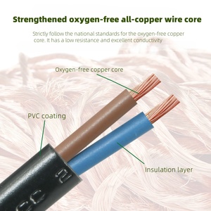 Enchufe Holandés de 4.8MM, 10A, 2 Pines, Cable de Alimentación Eléctrico de Cobre, Corriente Integrada de 10A, Uso Industrial y Hospitalario, Resistente a Manipulaciones - Product Image 6