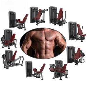 Propriétaire de salle de sport, regardez ici : Pack d'équipements de salle de sport commerciale de 250 à 2000 m², fabricant direct de Chine, Shandong, équipement de fitness de bonne qualité - Product Image 4