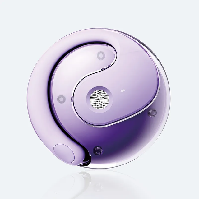 Translation Earbuds Over 100 Languages Voice Translator Earbuds for Travel