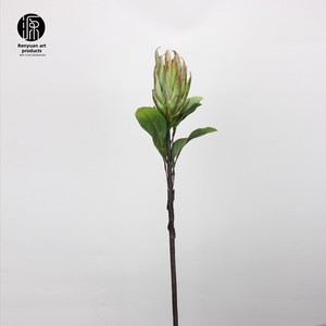 Branche unique roi Protea fleur artificielle longévité fleur décorative pour salon <span class=keywords><strong>mariage</strong></span> paysage fait afrique du sud - Product Image 6