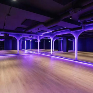 LED <strong>Mirror</strong> <strong>for</strong> <strong>Gym</strong> and Yoga Studio Wall-Mounted and Floor-Mounted Color-Changing Light Feature - Product Image 4