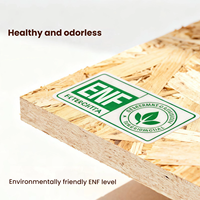 Panneaux OSB (Oriented Strand Board) de haute qualité pour la production de meubles et d'armoires, et l'emballage de transport.