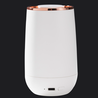 Diffuseur portable USB-C sans eau avec réservoir d'huile essentielle de 10 ml pour voiture, hôtel et usage domestique, certifié CE, en plastique