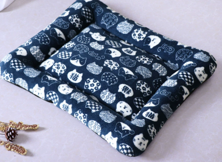 แมวนำโชค