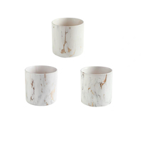 XS Ltd. Fabricant de pots de fleurs, décoration intérieure, mariage, plantes succulentes, pot en céramique