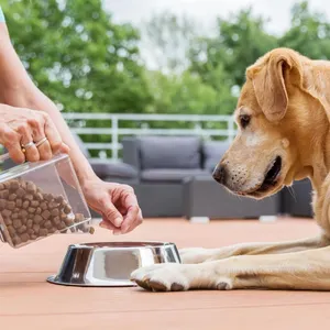 Pet gıda yüksek kalite lezzetli yetişkin köpek maması toptan köpek foodbiscuits kraliyet canin köpek maması üreticileri